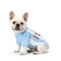 Breathable summer pet dog soccer jersey vest, blue and white stripes casual pet clothing. - XZQY07