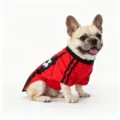 Breathable summer pet dog sports jersey, red black soccer vest for cute puppy wear. - XZQY08