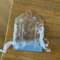 Portafotos transparente de acrílico de 3 pulgadas protector de credencial con lazos y delfín. - Porta tarjetas de encaje de delfín