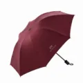 Dunkelroter manueller UV-Schirm mit Schwarzkleber Sonnenschutz, stabiler dreiteiliger Regenschirm. - Manuell Weinrot