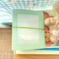 Detailansicht des hellgrünen transparenten Fotokartenordners mit elastischem Band für Karten. - Grünes 3-Zoll-Fotoalbum mit Band (60 Taschen)