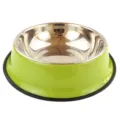 Edelstahl Haustiernapf mit grüner Außenhülle und rutschfestem Gummiboden für Hunde und Katzen. - 15cm / Grüner lackierter Hundenapf