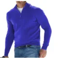 Men's royal blue quarter-zip long sleeve sweater casual knitwear top for autumn and winter. - Blue
