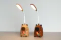 Simpatica lampada da scrivania LED capybara con collo flessibile e USB per camera - Marrone scuro