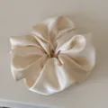 Satin Hair Scrunchie Champagne Elegant Hair Tie Soft Elastic Hair Band for Women Daily - Beige Scrunchie