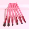 6 pieces pink makeup brush set eye shadow eyebrow brushes professional beauty tools for daily use - 6 Pieces Pack / Pink