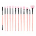 12-piece pink makeup brush set, portable eye shadow and facial cosmetic tools with soft nylon bristles. - Pink
