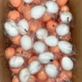 Detail view of bulk packaged simulation stress relief squeeze eggs in assorted colors. - Mixed Color Egg One Piece / Multicolor
