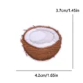 Bonito parche bordado de coco para ropa sombrero bolso DIY, aplique de tela termoadhesiva. - Forma de Coco Cortado a la Mitad (PE17072CT)