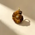 Élégant pendentif nautile en pierre œil de tigre, collier coquillage sculpté pour les femmes. - Oeil de Tigre
