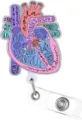 Acrylic glitter anatomical heart badge reel nurse doctor retractable ID card holder clip - Heart