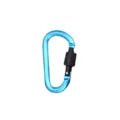 Nahaufnahme Detail des blauen Aluminium D-Form Karabiners mit Schraubverschluss, Hardware. - Himmelblau