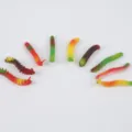 Simulation caterpillar toy set, realistic plastic creepy crawler prank funny props. - Simulation Caterpillar / Random Color