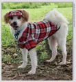Ensemble chapeau et vêtements à carreaux pour chien respirant mince mignon accessoire chiot - N° 1 (taille S) chapeau avec chemise taille S / Ensemble à carreaux rouges