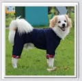 Vêtement chaud pour chien à quatre pattes avec poignets à carreaux et polaire pour animaux. - S / Bleu
