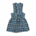 Cute blue plaid pet dress for small dogs and cats, stylish summer suspender skirt apparel. - S / Light Blue
