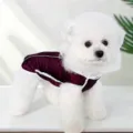 Gros plan sur le gilet d'hiver chaud pour chien en violet avec bordure en peluche pour animaux. - S / Manteau rembourré réfléchissant (Bordeaux)