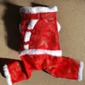 Costume Tang d'hiver rouge pour animal de compagnie avec bordure en peluche et brocart. - S / Dragon et phénix