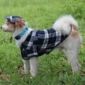 Ensemble chemise et chapeau a carreaux bleu et blanc pour petit chien vetement animal de compagnie - N° 1 (taille S) chapeau avec chemise taille S / Ensemble à carreaux bleus