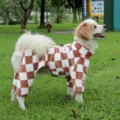 Vêtements d'hiver pour animaux de compagnie chauds à quatre pattes pour petits chiens. - S (étiquette chiot dessin animé) / Carreaux Marron