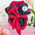 Chien automne hiver polaire chaud samouraï costume vêtements pour animaux de compagnie petits chiens - S / Ceintures noires et rouges