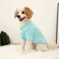 Atmungsaktives Hunde-Poloshirt in Hellblau, leichtes Haustier-Sommershirt für Teddy. - Himmelblau