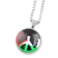 Collier Pendentif Symbole Paix Drapeau Palestine Verre Gemme Temps Acier Inoxydable Bijoux - Argent F