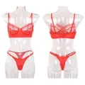 Conjunto de lencería de encaje transparente rojo con sujetador de malla y tanga a juego. - S / Rojo