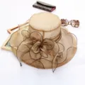 Elegant champagne organza sun hat for women, featuring a large sheer floral mesh design for summer. - One Size (Adjustable) / Coffee