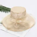 Beige organza sun hat for women, elegant mesh floral beach hat with wide brim summer style. - One Size (Adjustable) / 202 Solid Color Beige