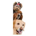 Sticker mural 3D simulation chiens mignons pour salon chambre coin autocollant décoratif étanche - Style Chien