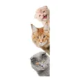 Sticker mural 3D chat mignon autocollant animal drôle pour salon chambre déco coin - Style Chat