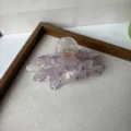Pince à cheveux coquillage transparente en acétate détail avec strass exquis et ressort métallique. - Style Coquille Transparente 2
