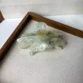 Pince à cheveux en acétate vert nacré transparent avec strass, grand clip papillon. - Style Coquille Transparente 7