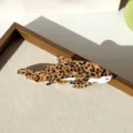 Leopard print shark hair claw acetate hair clip cute marine style hair accessory for women - Spotted Shark