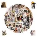 50pz adesivi divertenti gatto meme impermeabili in vinile per laptop bottiglia acqua - 50 Pezzi/Confezione / Colorato