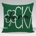 Close-up detail of green throw pillow cover with lucky charm text and shamrock print. - Single-Sided Peach Skin Pillowcase / BZ202401205-1