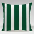 Green and white vertical striped throw pillow cover for sofa bedroom couch decor - Single-Sided Peach Skin Pillowcase / BZ202401205-4