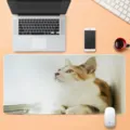 Grande tappetino per mouse da gioco con stampa di gatto, superficie liscia e base antiscivolo. - SBD202502028-1 / 30x60cm (Spessore 3mm)