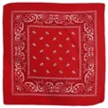 Red Paisley Bandana Classic Hip Hop Square Scarf Streetwear Headband Unisex Neck Wrap - Red