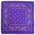 Purple paisley bandana classic retro hip hop square scarf versatile street dance head wrap - Deep purple