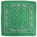 Green paisley bandana, classic hip-hop square scarf for men and women, street style headband. - Grass Green