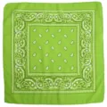 Green paisley bandana retro square scarf hip hop street style head wrap neckerchief 55cm - Fruit Green