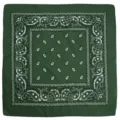 Classic green paisley bandana hiphop streetwear square scarf hair band for men and women - Dark Green
