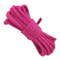 Felroze 7-kern paracord touw voor outdoor kamperen, tenttouw en DIY armband vlechten 3m - Rozerood / 3 Meter Verpakking