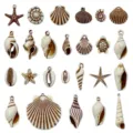 Acrylic Seashell Starfish Pendants DIY Jewelry Accessories White Brown Charms Set - Ocean Series Set (SN1671) / 25 Pack