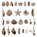 25Stk Acryl Ozean Serie Seestern Muschel Seepferdchen Anhänger DIY Schmuck Zubehör Perlen - Acryl Ozean Serie Set (SN1675) / 25 Stück Pro Set / Braun Und Weiß Textur