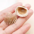 Acrylic brown white seashell charms DIY pendant handmade jewelry accessories for earrings - Brown Vertical Hole Ocean Shell (27388)
