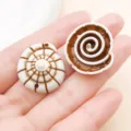Acrylic white brown conch spiral pendant charm for DIY jewelry making earrings accessories - Brown Ocean Sea Snail (27391)