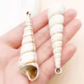 Acrylic white brown conch shell pendant DIY jewelry making accessories earrings charm variant - Brown Ocean Sea Snail (27396)